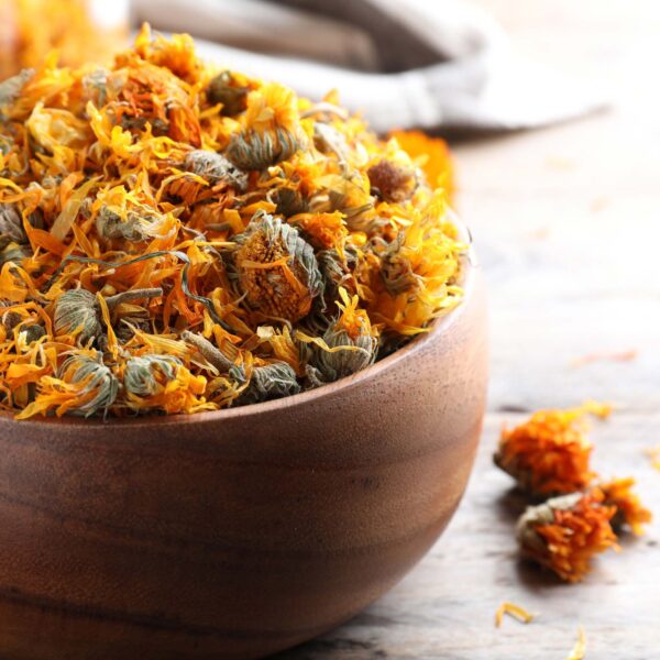 Calendula Officinalis (كلانديولا)