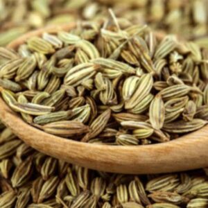 Fennel (شمر)